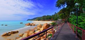 Welcome to my King4Wellness Blog